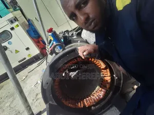 Rewinding Works Including Motor and Heavy Generator Rewinding