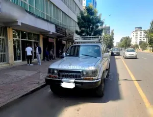 Toyota Land Cruiser 1993 Gray
