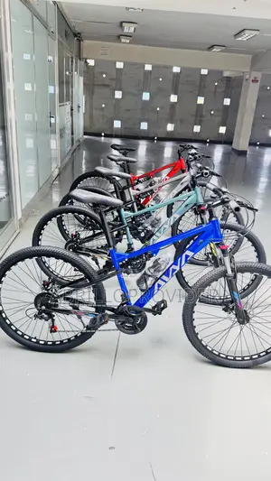 Avia 26 Inch Bike