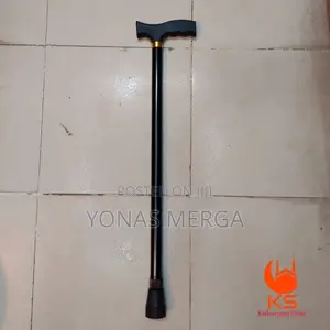Walking Sticks Stand Out With Their Eye-Catching Designs