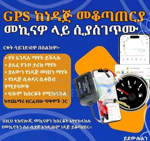 World ጂፒኤስ ገጠማ ስራ