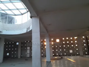 Ledta Merkato Flintstone Building 5th Floor / 175,000 ካሬ