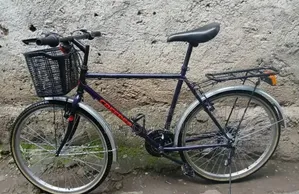 Creeper Cycle