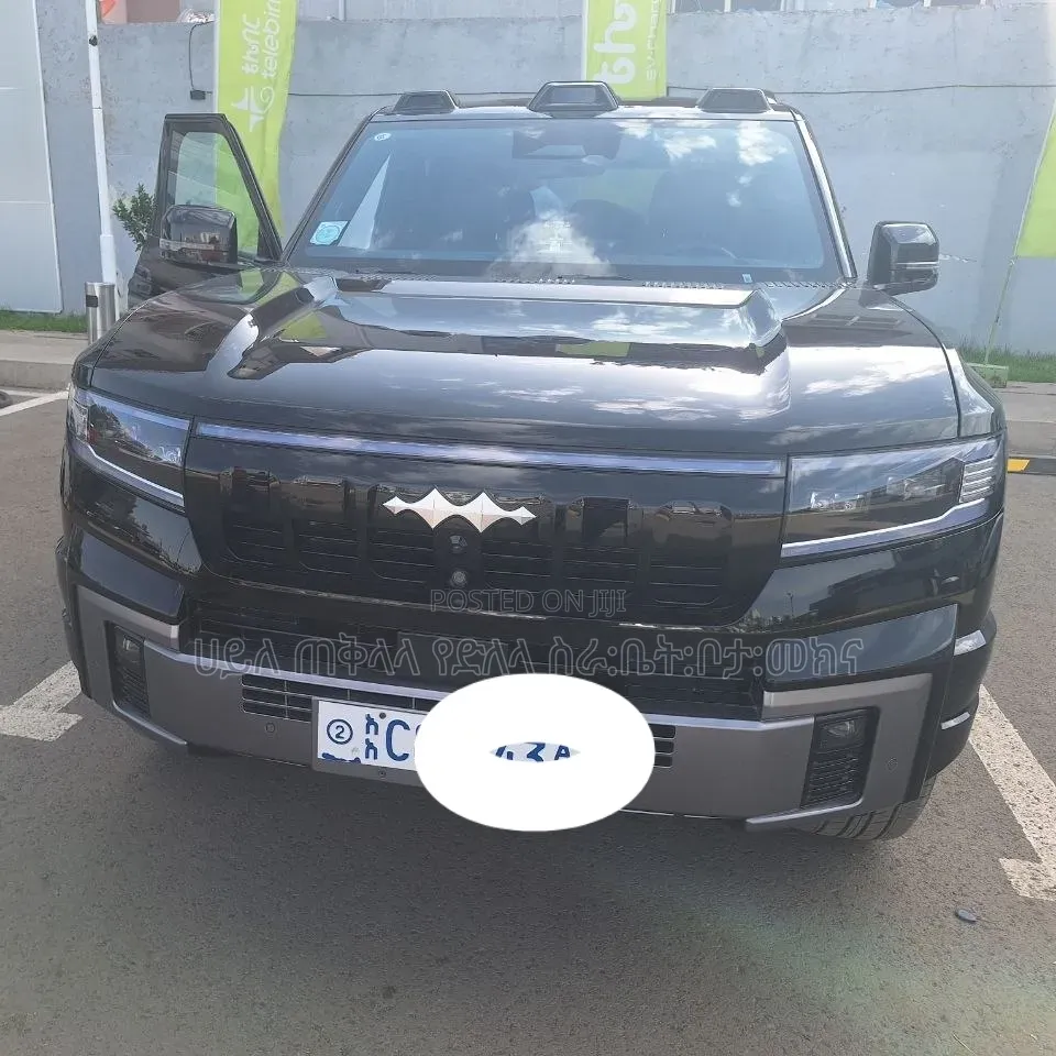 BYD Leopard 8 2.0 Hybrid AWD 2025 Gray