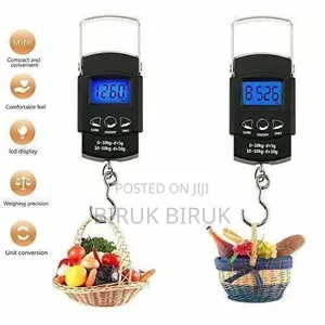 Portable Electronic Scale