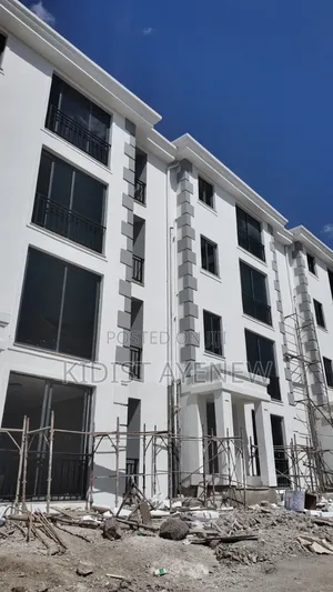 Furnished 3bdrm Apartment in Bole for sale