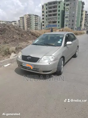 Toyota Corolla 2001 Brown