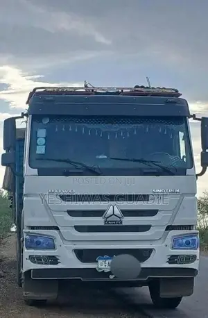 Sino Casoni Model 2021