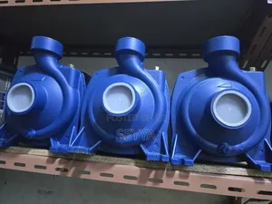 Electrical Water Pump