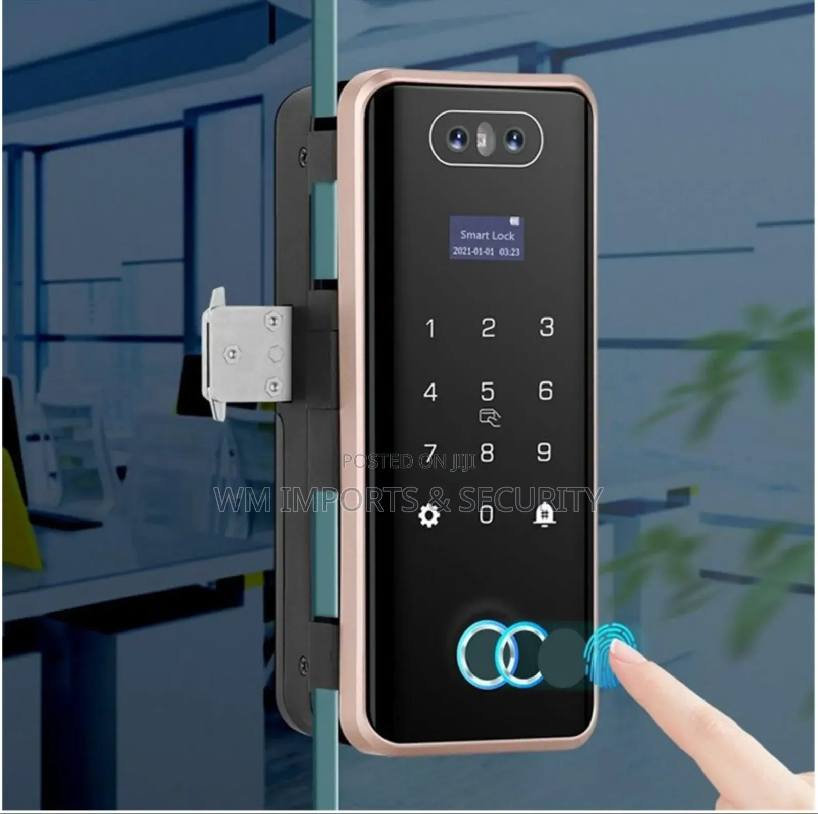 Frameless Samrt Door Lock