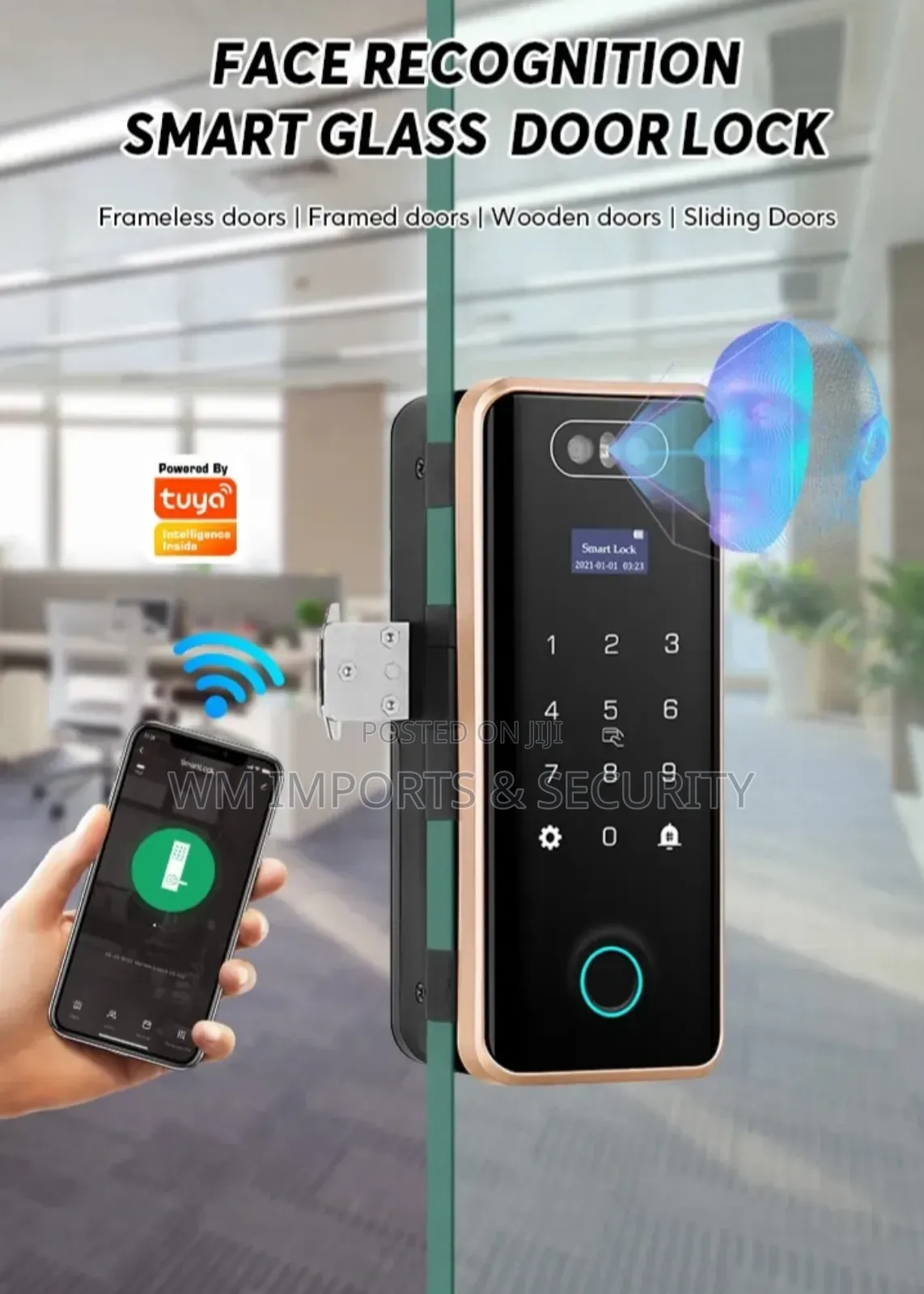Frameless Samrt Door Lock