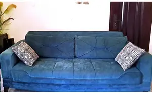 Sofa and Bed Both