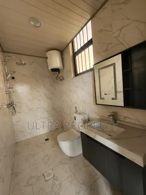 2bdrm Apartment in Bole for rent