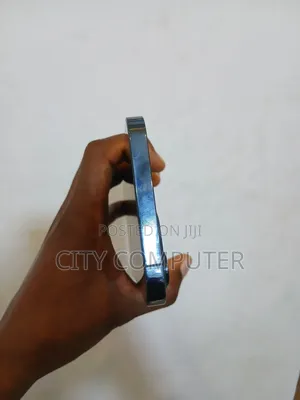 New Apple iPhone 12 Pro Max 256 GB Blue