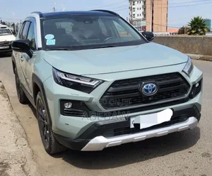 Toyota RAV4 2023 Gray