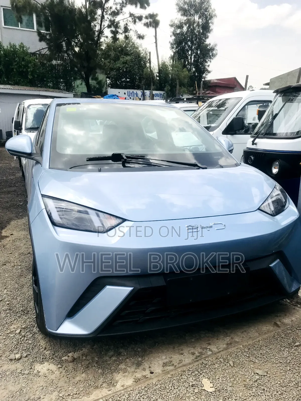 New BYD Seagull 2024 White