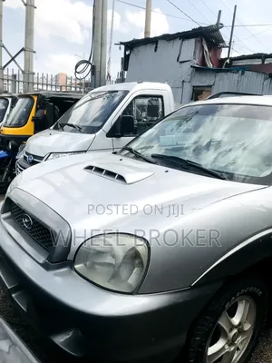 Hyundai Santa Fe 2002 Silver