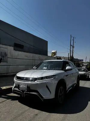 New BYD Yuan Up 2024 Off white
