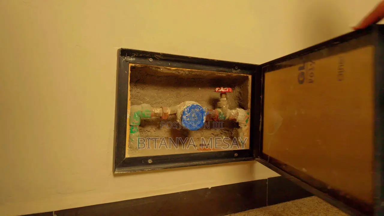 2 Bed Room Furnished Apartment