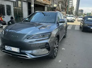 New BYD Song Plus 2024 Gray