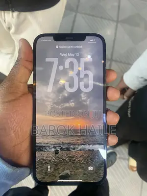 Apple iPhone 12 Pro Max 128 GB Blue