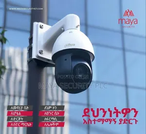 Dahua P.T.Z 360° Starlight L.R Wizsense Network, With Smart A.L Detect