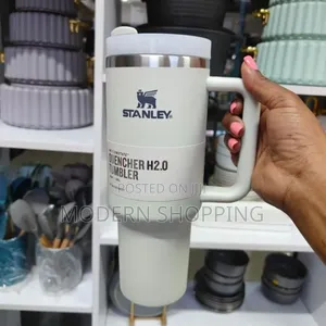 Stanley Mugs With Straw