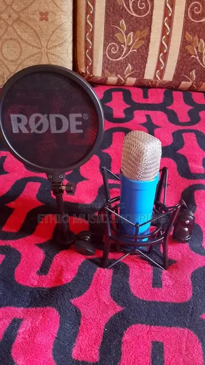 Studio Mic