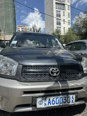 Toyota RAV4 2004 Gray