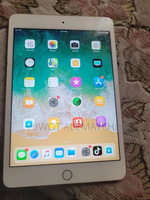Apple iPad mini 4 64 GB Gray