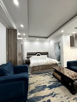 Furnished Studio Apartment in Lideta for rent