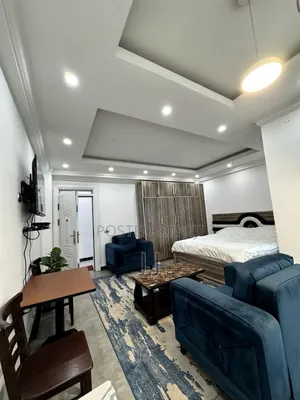 Furnished Studio Apartment in Lideta for rent