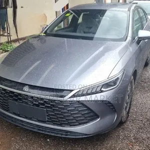BYD Qin Plus DM-i 2025 Gray