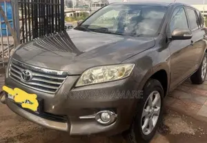 Toyota RAV4 2012 Brown