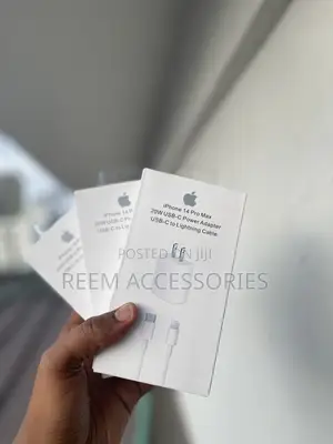 iPhone Charger