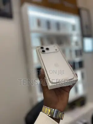 New Apple iPhone 17 Pro Max 256 GB Silver