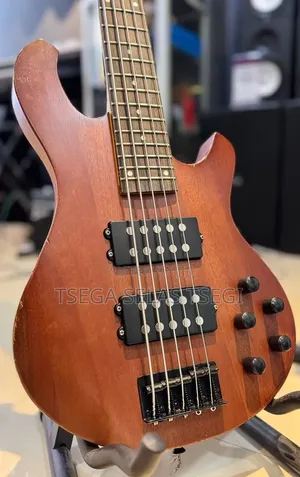 Bass Guitar