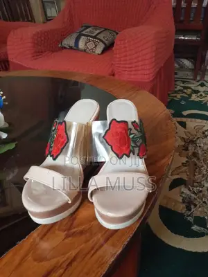 Dubia Show Shoe's