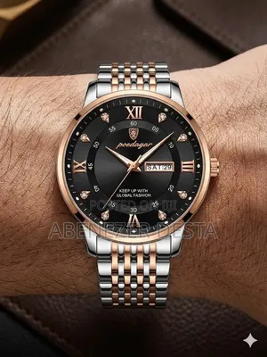 Poedagar Men's Luxury Stainless Steel Black Dial and Two-Tone Band.