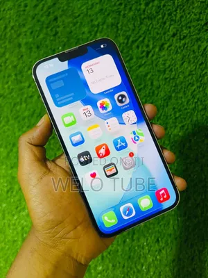 Apple iPhone 13 Pro Max 128 GB Gray