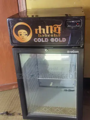 Mini Refrigerator