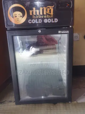 Mini Refrigerator