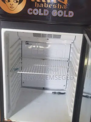 Mini Refrigerator