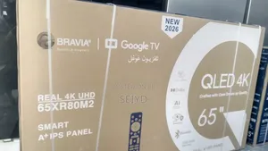 Bravia TV 65 Inch Google