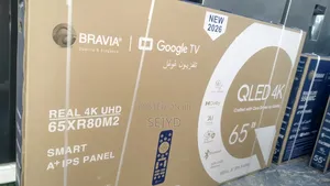 Bravia TV 65 Inch Google
