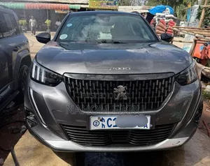 Peugeot 2008 2022 Silver