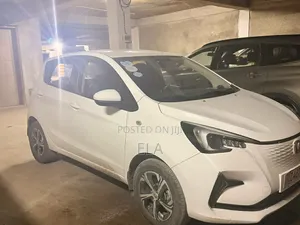 Changan BenBen 2024 White