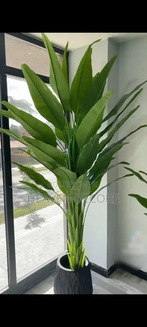 2ሜትር አርቴፊሻል ኮባ( 2m Artificial Tree)