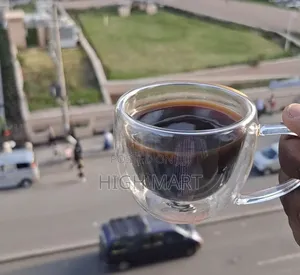 Double Wall Glass Cup