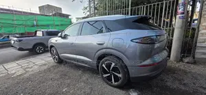 New BYD Sealion 06 EV 2025 Gray
